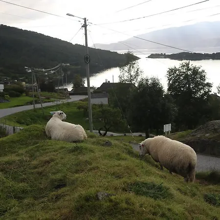 Hardanger Rom & Harmonium 